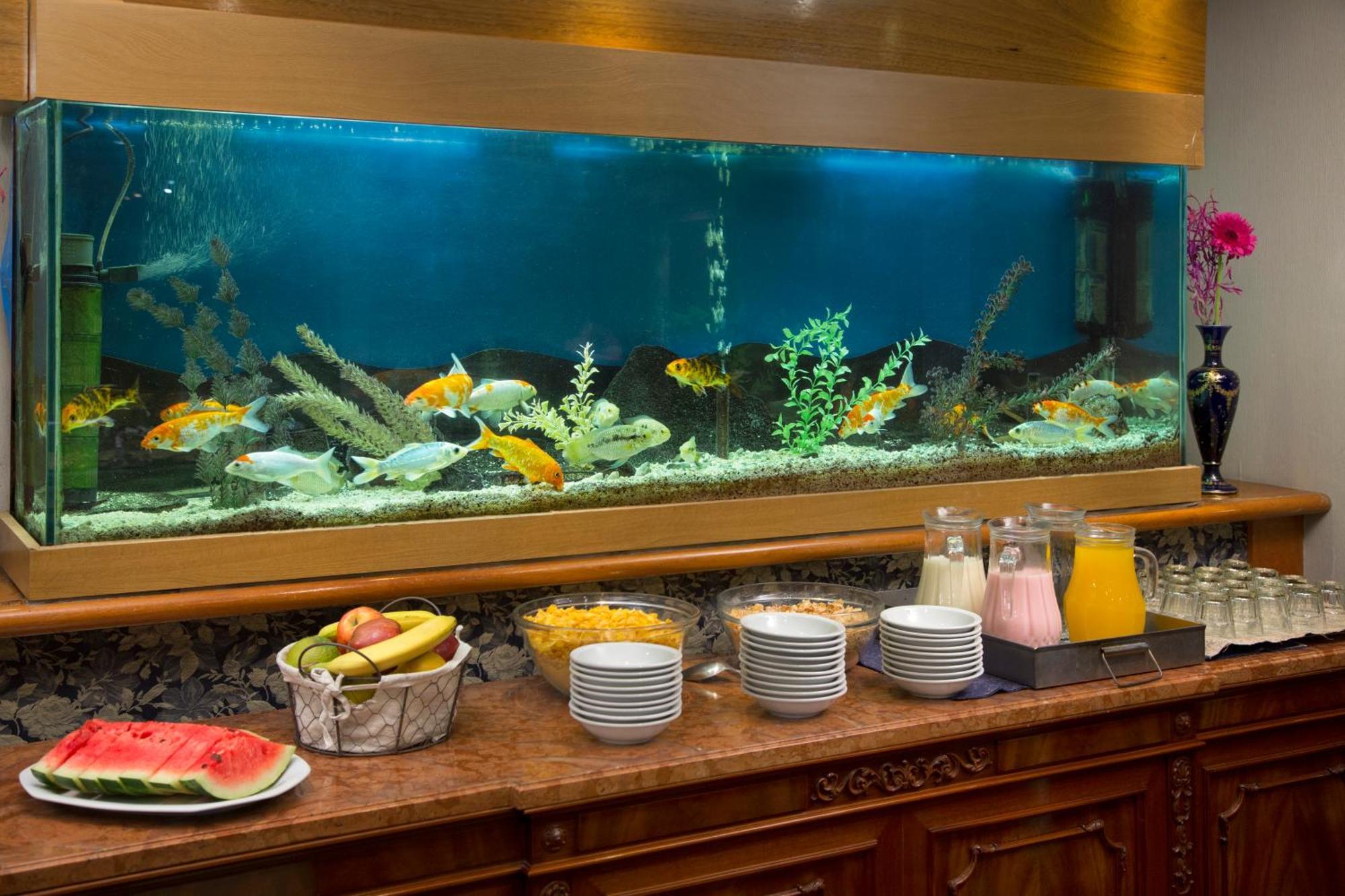 Hotel Impala บัวโนสไอเรส ภายนอก รูปภาพ
